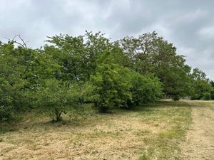 Vente terrain 700 m² à Sorigny (37250)  90 000 €