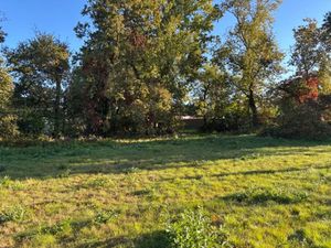 Vente terrain 800 m² à Audenge (33980)  265 000 €