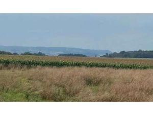 Vente Terrain à Kerlaz (29100) : à vendre / Kerlaz