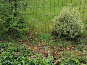 Vente Terrain à Saint-Thuriau (56300) : à vendre / Saint-Thuriau