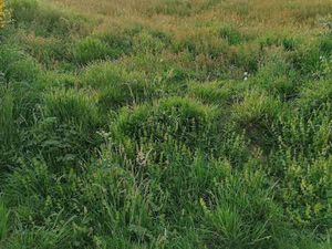 Vente Terrain à Merlevenez (56700) : à vendre / Merlevenez