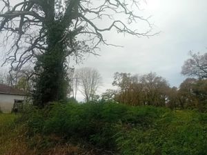 Vente terrain 1500 m² à Mios (33380)  260 000 €