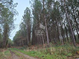 Terrain de loisirs 0 pièces 36305 m² à vendre / acheter Arjuzanx 40110 ? | ERA Immobilier