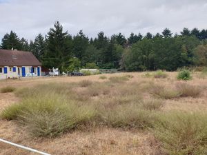 Terrain 1642 m2 Le Luart