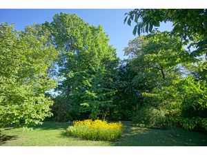 TERRAIN A BÂTIR LIBRE DE CONSTRUCTEUR sur les hauteurs du REGGERG MULHOUSE