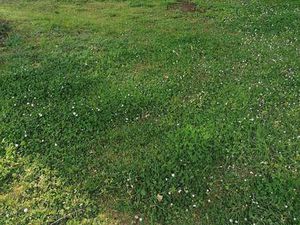 Vente Terrain à Merlevenez (56700) : à vendre / Merlevenez