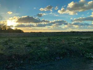 Vente Terrain à Pleurtuit (35730) : à vendre / Pleurtuit