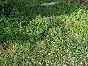 Vente Terrain à Sainte-Hélène (56700) : à vendre / Sainte-Hélène