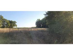 Terrain constructible avec bois