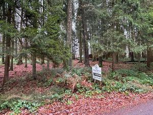 Terrain à vendre à Cul-des-Sarts € 30.000 (LHYY0) - Century 21 - Immo Michaux | Zimmo