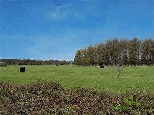 UNIQUE : Grand terrain à bâtir comprenant 8 parcelles !!