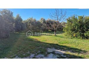 VALÉRIE ZANZOURI BSK IMMOBILIER