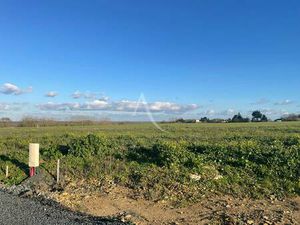 Terrain constructible viabilisé à vendre