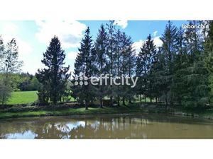 Terrain 10 109 m² Loupfougeres