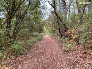 Terrain 22000 m² LES MAYONS