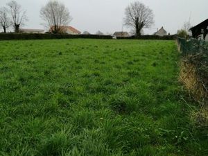 Terrain constructible