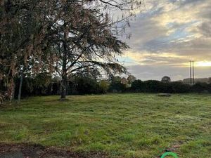 Terrain constructible viabilisé à vendre