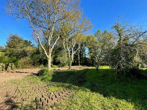 Terrain constructible viabilisé à vendre