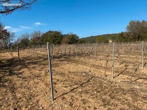 Terrain 1 500 m² Carces