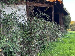 Terrain en partie constructible