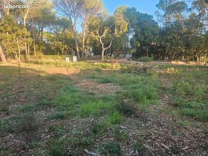 Terrain permis accepté