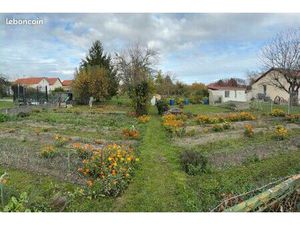 Terrain constructible