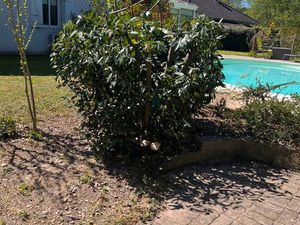 Villa à louer à Chazey-bons