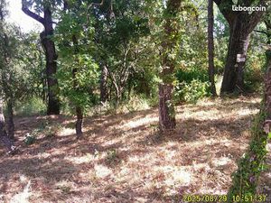 Terrain 1 200 m² Les Mayons