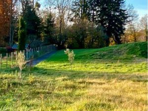 Bellerive Vichy terrain viabilisé 1000m2 Îlot de verdure au centre ville