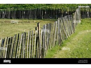 Recherche terrain en location