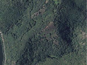 Lot parcelle forestière chataigneraie taillis