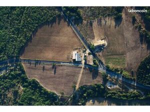 Vente exploitation caprine fromagère secteur Forcalquier(04)
