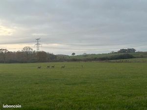 Terrain constructible plat avec eau  électricité et fibre juste devant