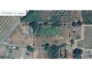 Terrain agricole à vendre