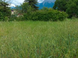 Jolis terrains entièrement viabilisés  bornés  exposés Sud  05230 Chorges  Les Bernards
