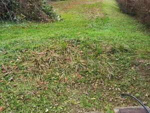 Terrain 3700 m² BART