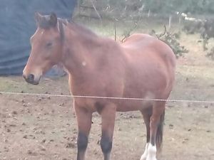 Recherche Terrain loisir