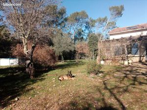 Au calme absolu maison et très grand terrain
