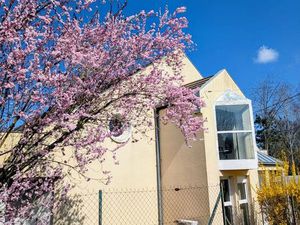 Location de cabinets médicaux / paramédicaux - 11 à 25 m². Maison de Santé accés PMR. Calm