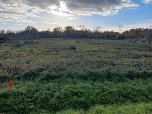 Terrain champ à louer