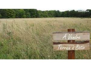 Terrain 1 400 m² Pellegrue