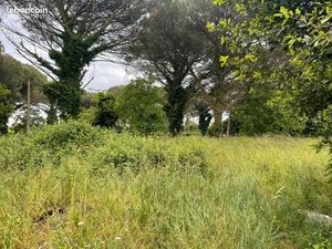 Terrain 1 080 m² Saint Maixant