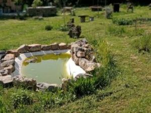 Terrain de loisir / forêt