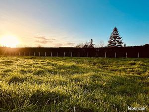 Terrain 1003 m2 - St Trelody Lesparre médoc