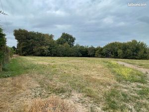 Terrain 3 780 m² Saint Felix De Foncaude