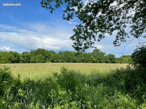 Terrain 640 m² Margaux Cantenac