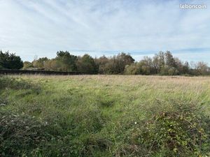 Terrain divisible en 4 lots