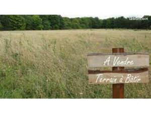 Terrain 2 400 m² Coutras