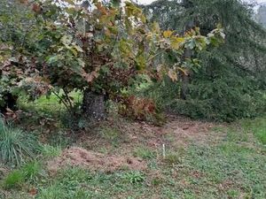 Terrain 800 m² Saint Macaire