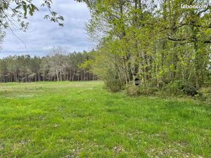 Terrain 1 000 m² Vendays Montalivet